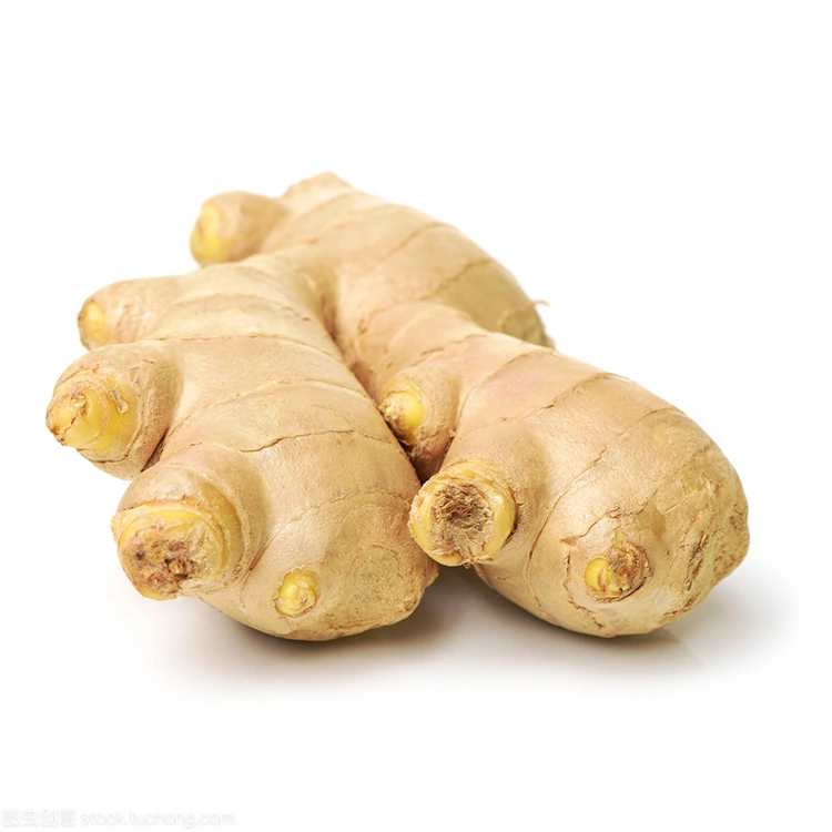 Wêrom is Premium Fresh Ginger de foarkarskeuze foar kwaliteitsbewuste keapers?