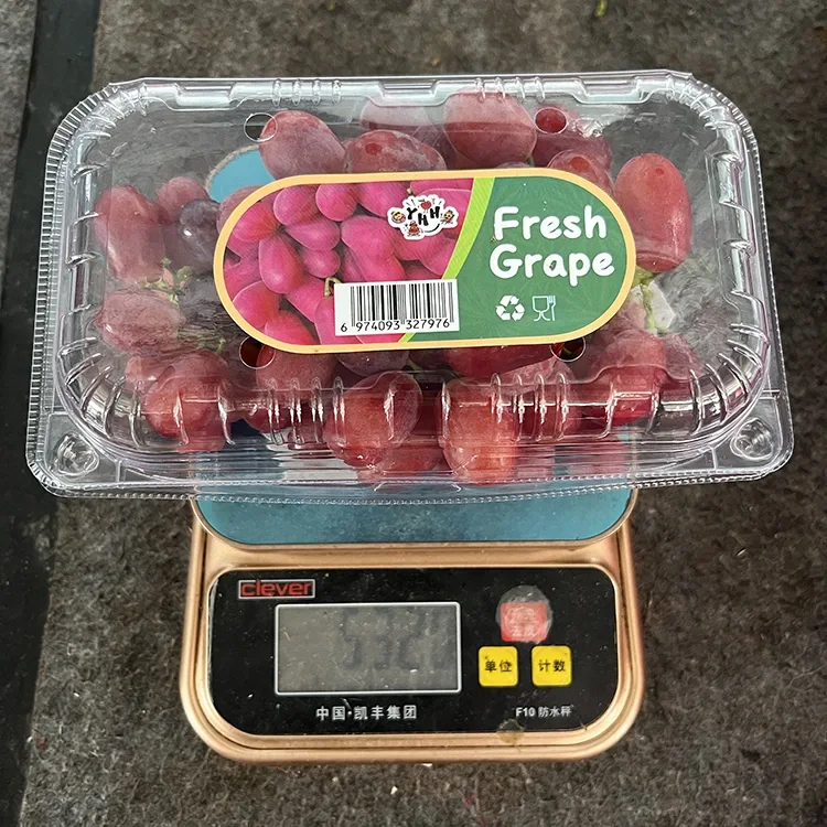 Eksportearje Grade Fresh Crimson Seedless Grapes