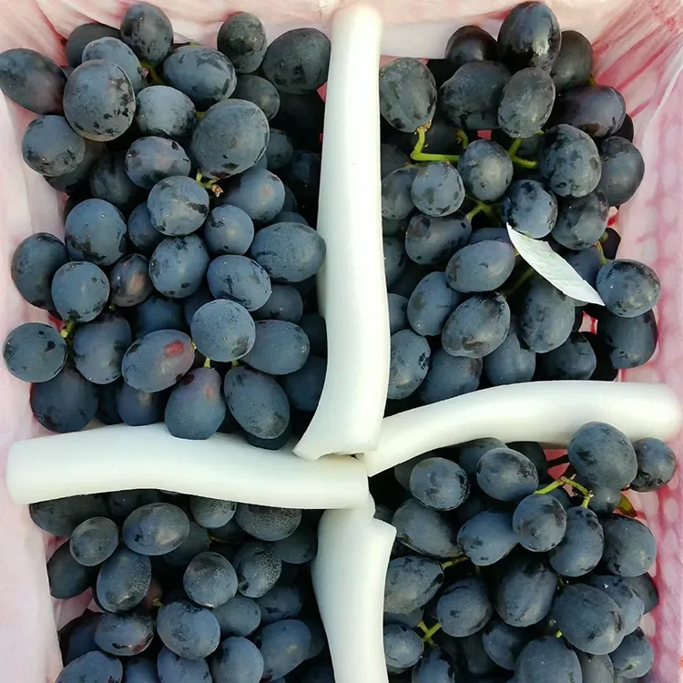 Fresh Harvested Swarte Druiven
