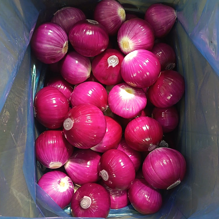 Peeled uien fan hege kwaliteit
