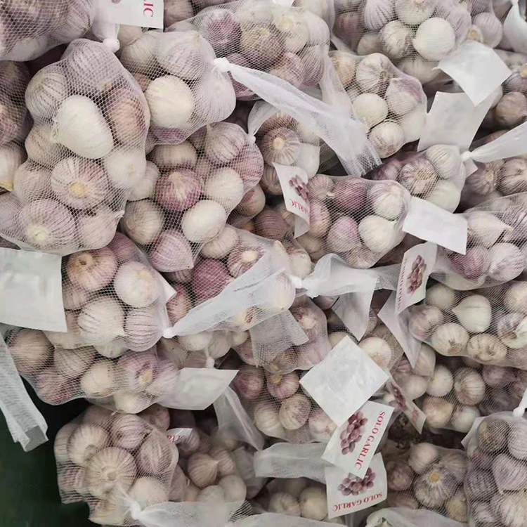 Hoge kwaliteit Single Clove Knoflook