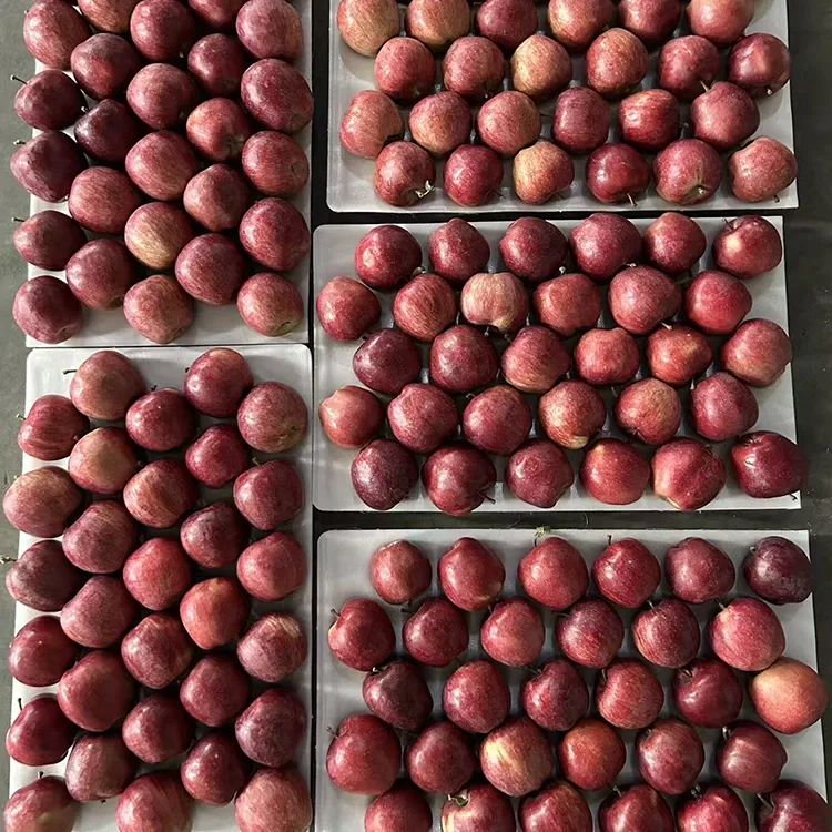 Bright Red Star Apples
