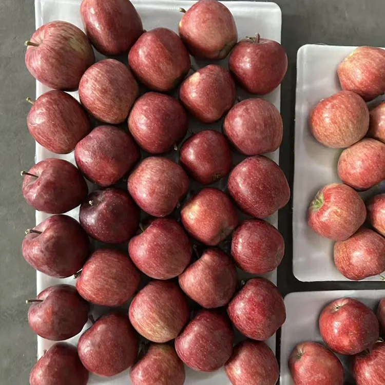 Bright Red Star Apples
