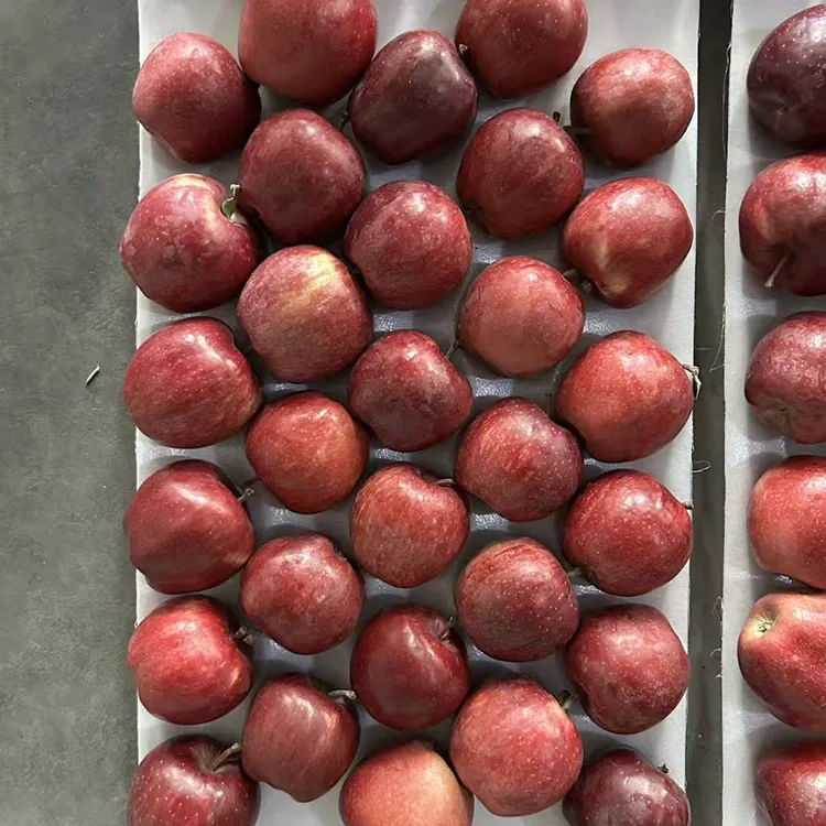 Bright Red Star Apples
