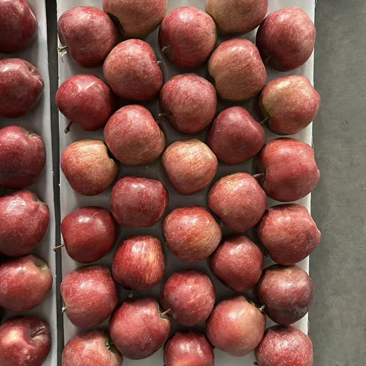 Bright Red Star Apples