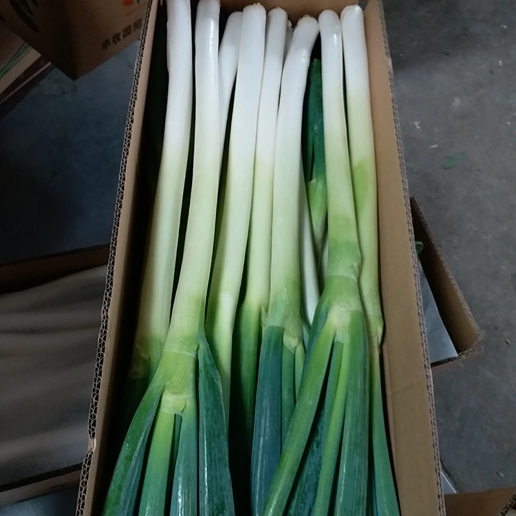 Natuerlik Grown Green Onions