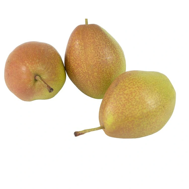 Superior Kwaliteit Fresh Hongxiangsu Pears